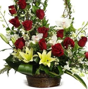 Meet your Posher, Carmen